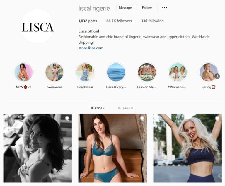 Vsebinski marketing na družbenih omrežjih: primer Lisca profila na Instagramu